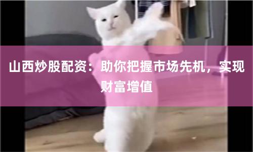 山西炒股配资：助你把握市场先机，实现财富增值