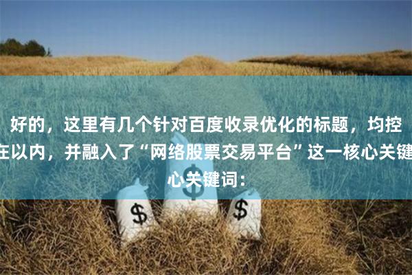 好的，这里有几个针对百度收录优化的标题，均控制在以内，并融入了“网络股票交易平台”这一核心关键词：