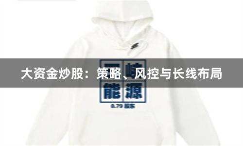 大资金炒股：策略、风控与长线布局