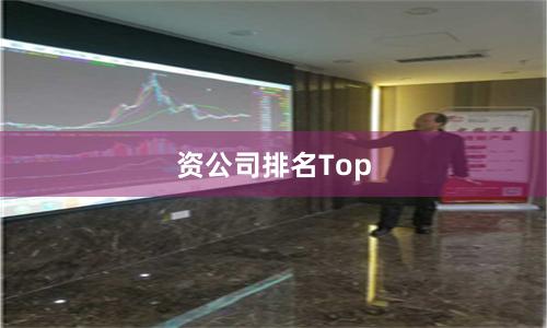 资公司排名Top